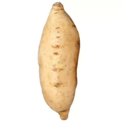 Cu Khoai Lang Trang - White Batata - KG