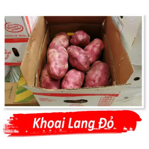 Cu Khoai Lang Do - Red Potato - KG