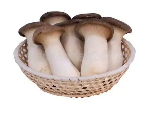 Nam Dui Ga To HQ - Eryngii Mushroom - KG 12112